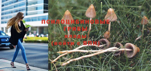 гашиш Володарск