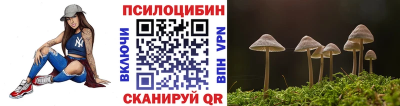 Псилоцибиновые грибы Cubensis  Купить где  Зеленокумск 